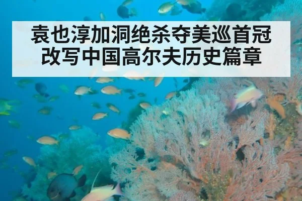 袁也淳加洞绝杀夺美巡首冠改写中国高尔夫历史篇章