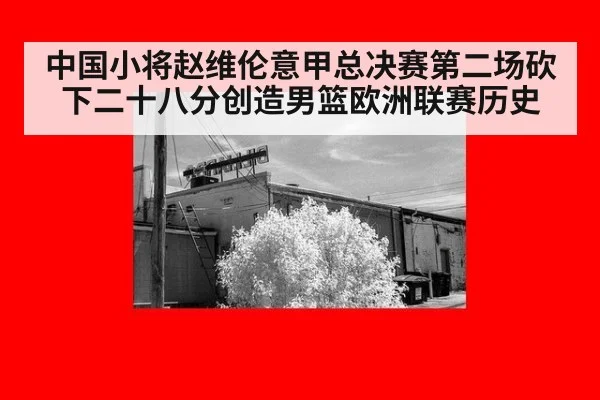 中国小将赵维伦意甲总决赛第二场砍下二十八分创造男篮欧洲联赛历史